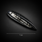Polished Orthoceras Fossil Pendant