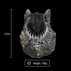 Devonian Trilobite Fossil in Matrix