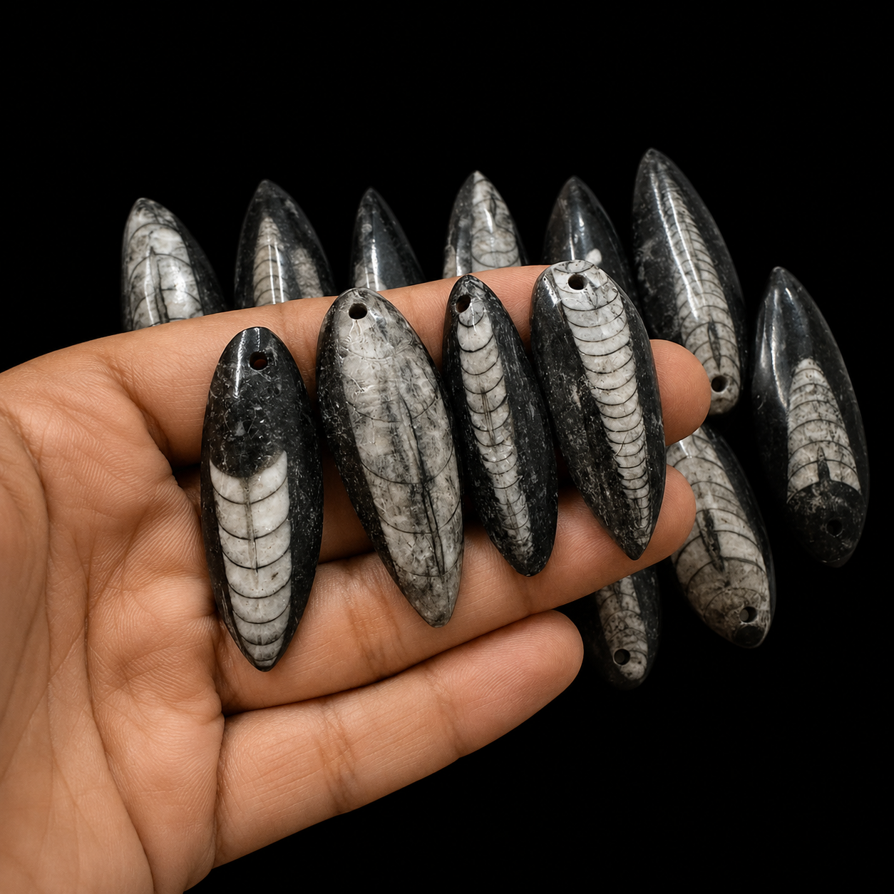 Polished Orthoceras Fossil Pendant