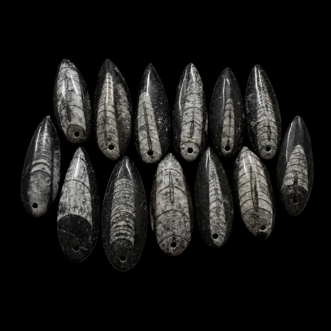 Polished Orthoceras Fossil Pendant