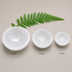 Three white ceramic bowls of different sizes with a fern leaf on a beige background