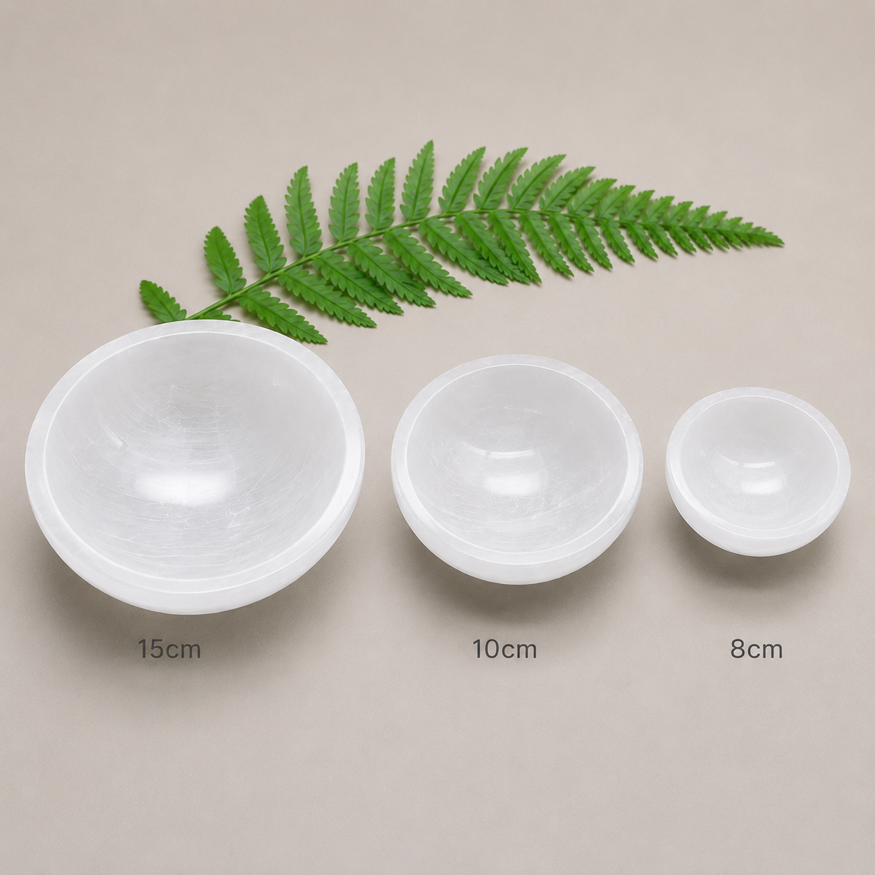 Three white ceramic bowls of different sizes with a fern leaf on a beige background